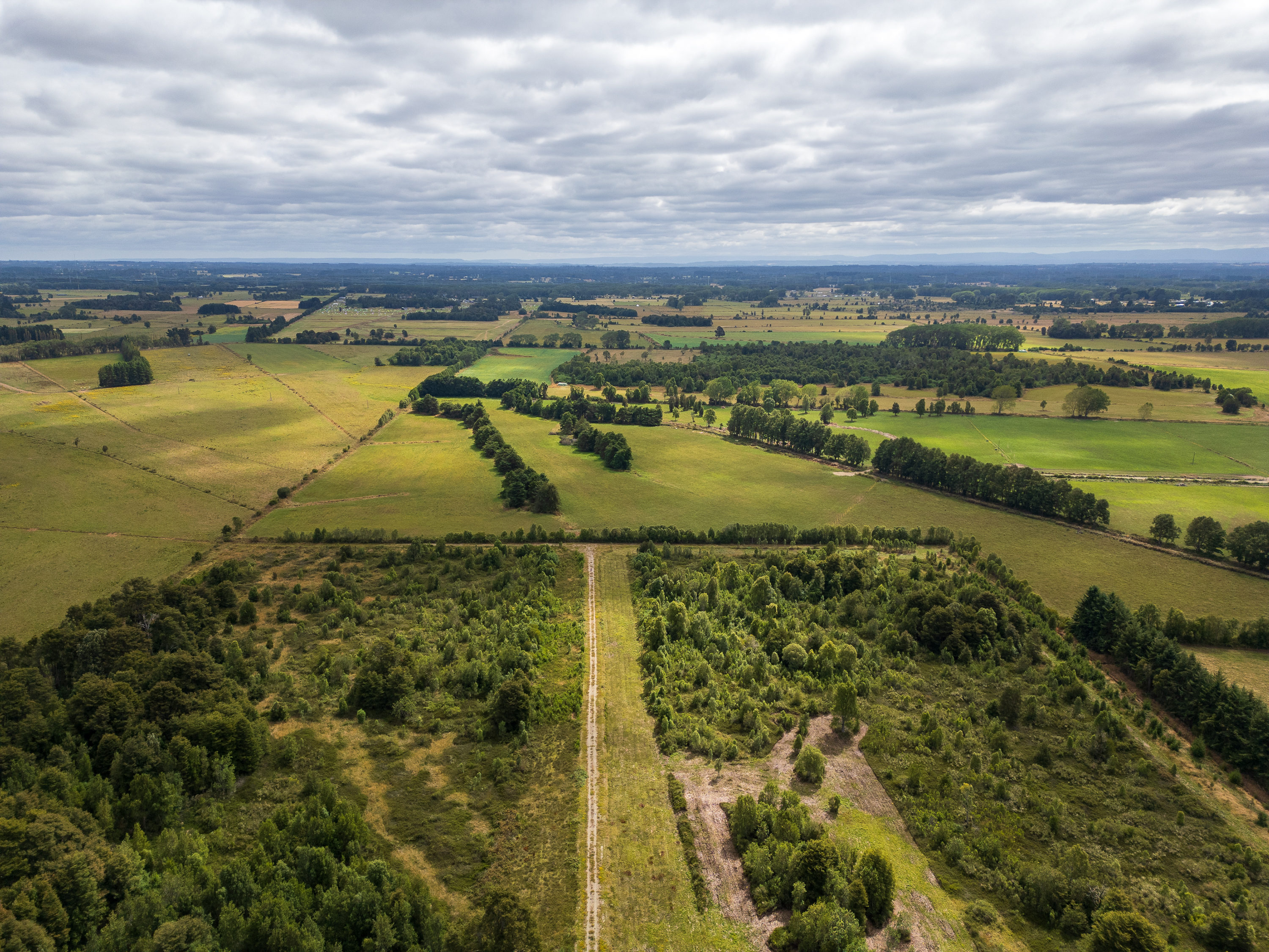 Vista aérea del terreno