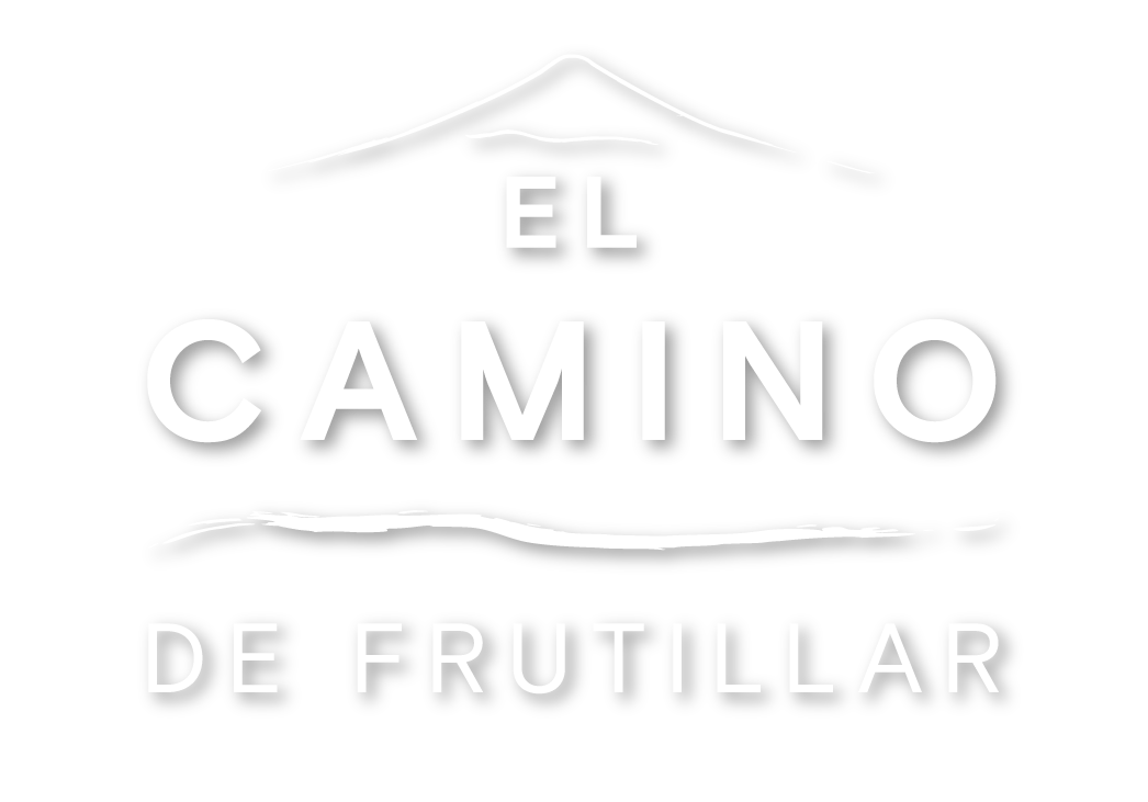 el-camino-site.pages.dev favicon